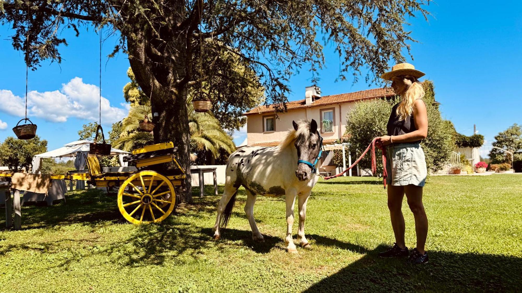 Agriturismo Colle Salomonio Nepi Esterno foto