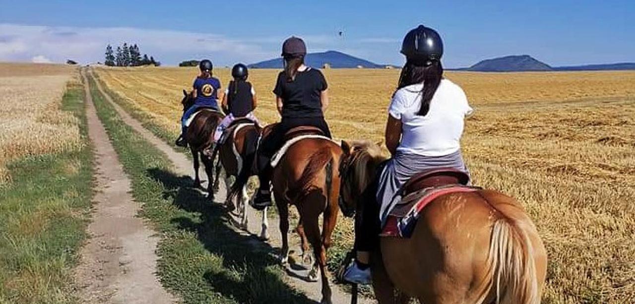 Agriturismo Colle Salomonio Nepi Esterno foto